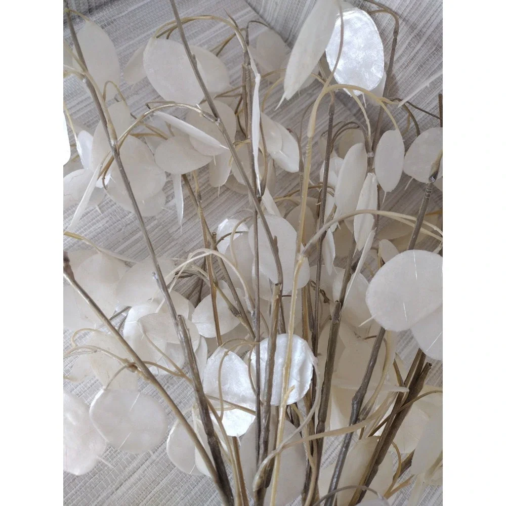Gold Base Hand Brush‎ Painted With 5 Faux Silver Dollar Lunaria Sprays Decor